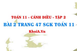 Bài 2 trang 47 Toán 11 tập 2 Cánh Diều